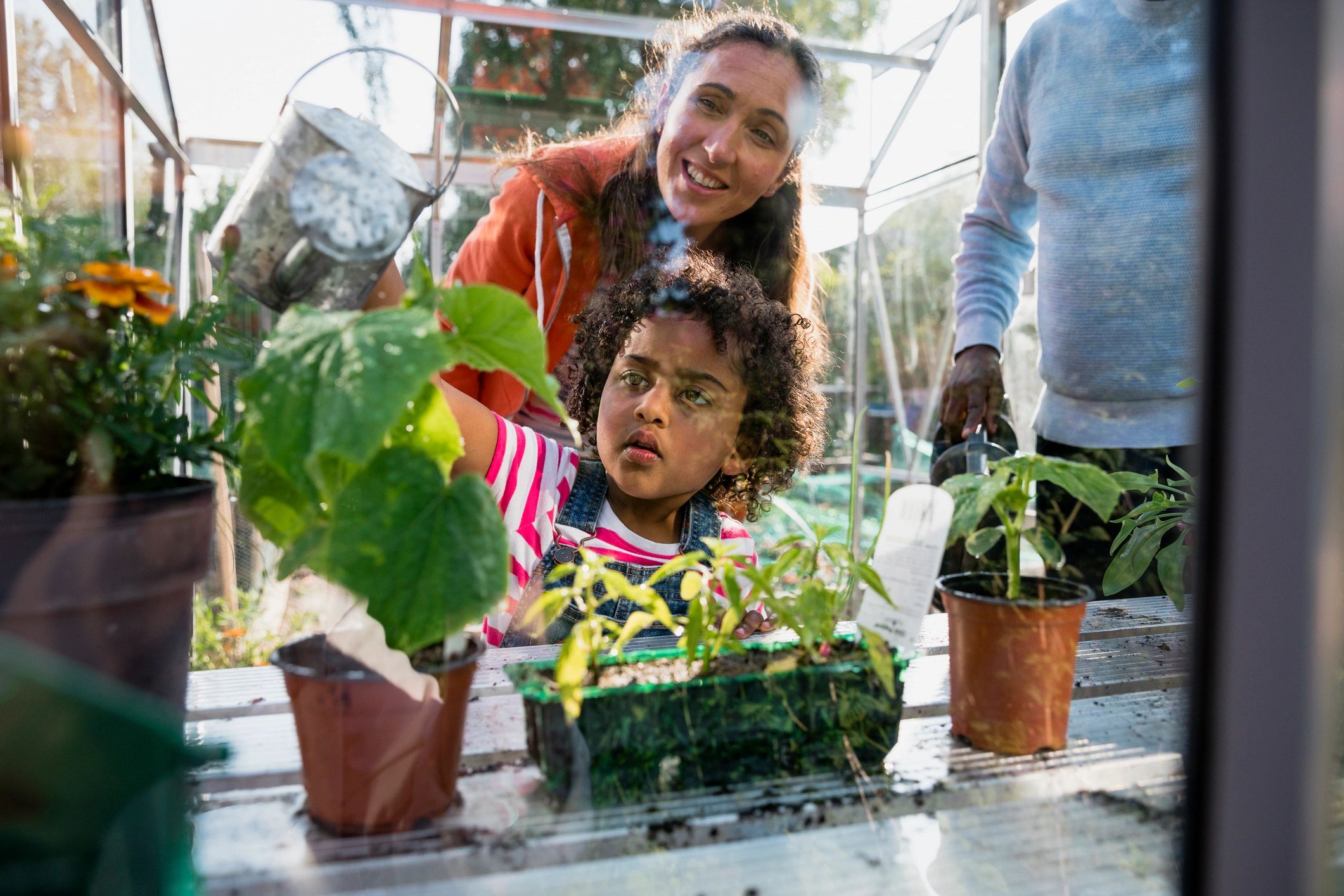 Child watering plants during a farm learning activity