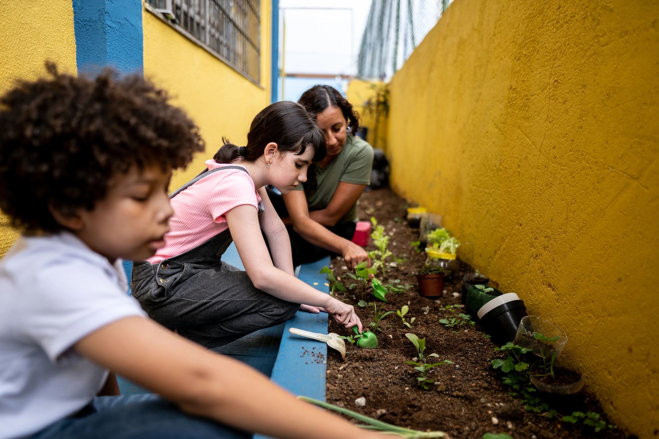Students planting in a school garden