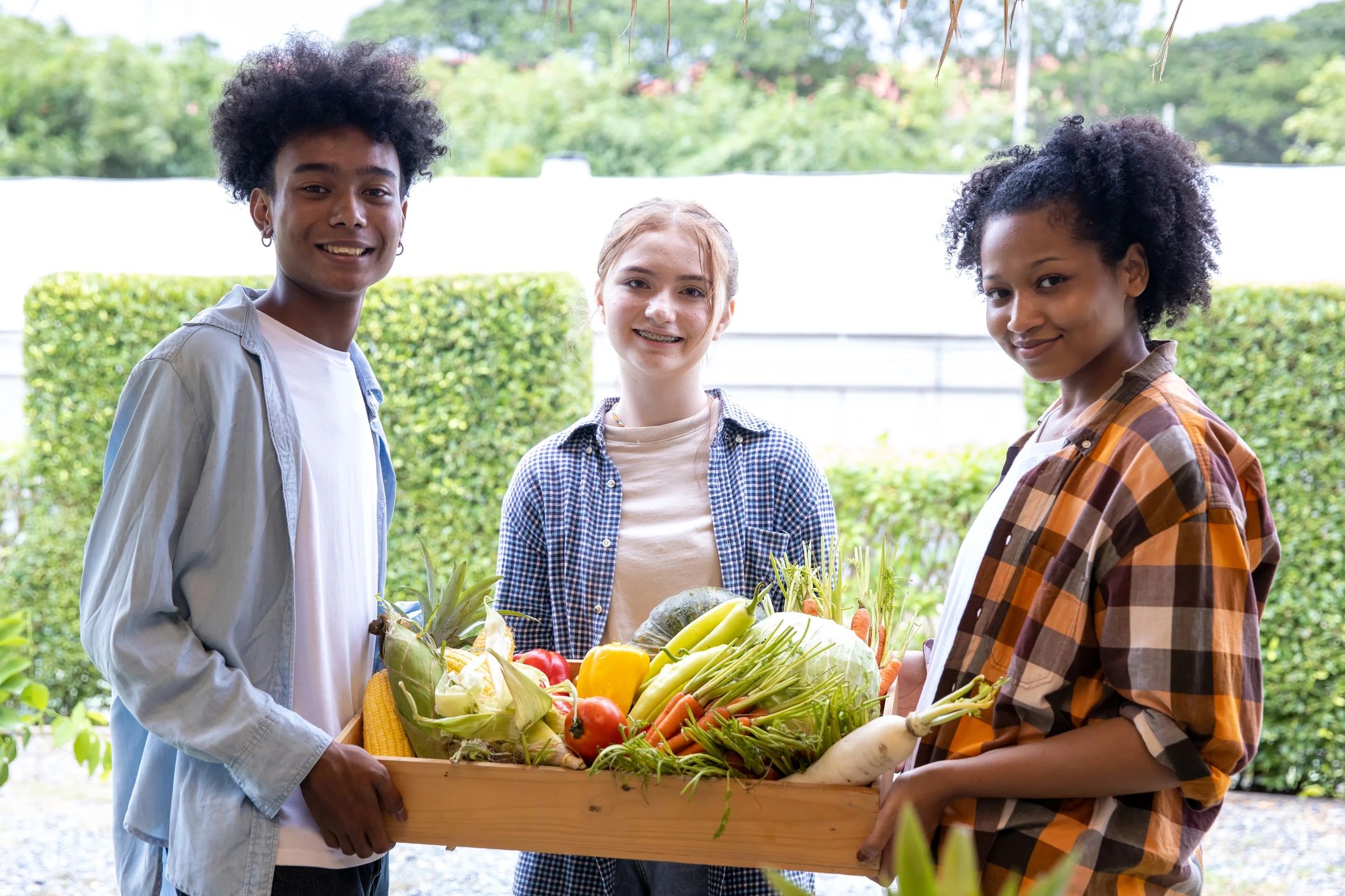 Students learning together on a vegetable farm