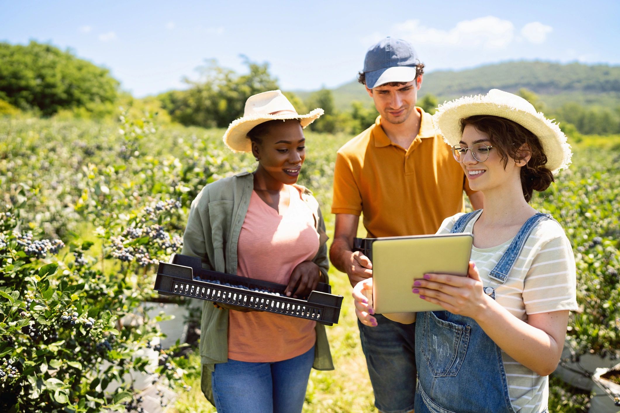 Group learning together on an organic farm
