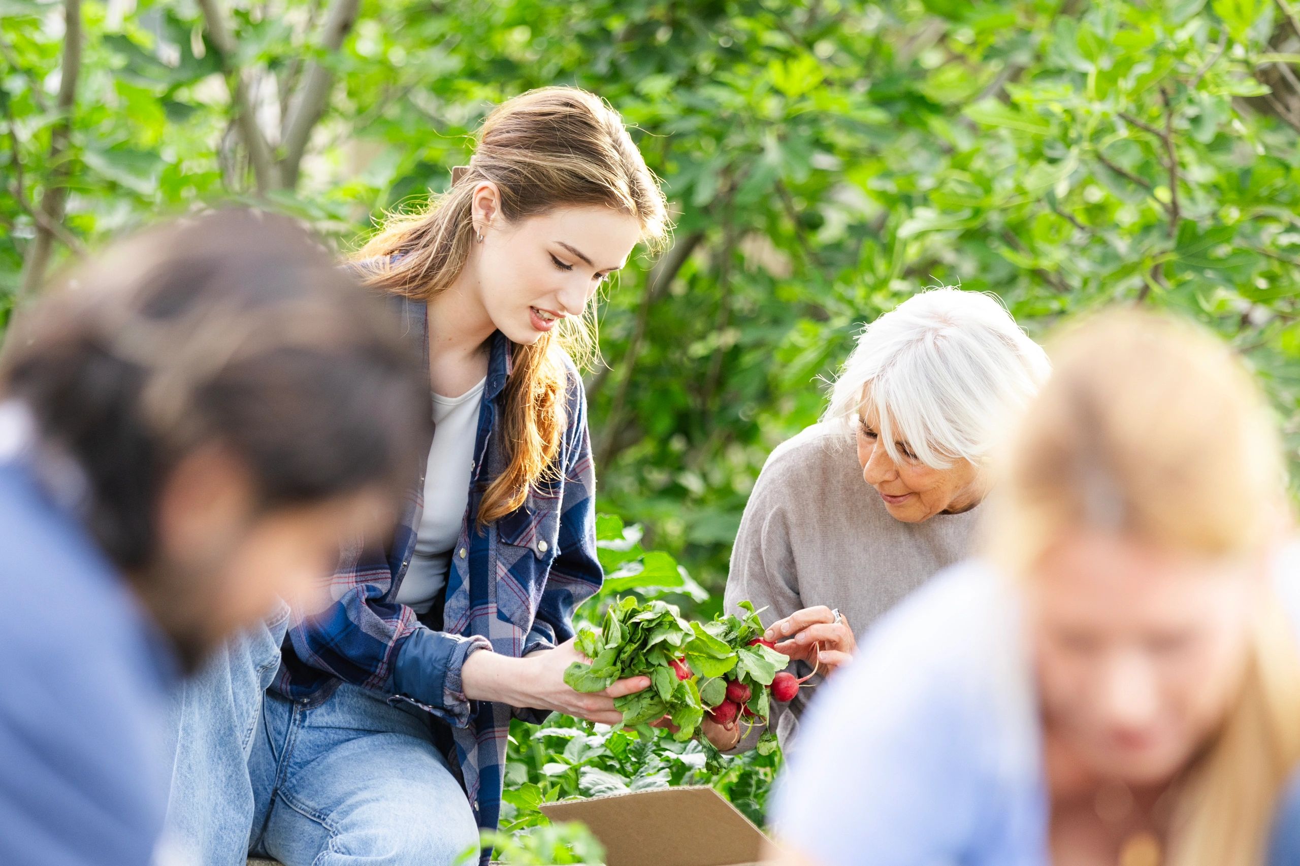People working together in a garden setting