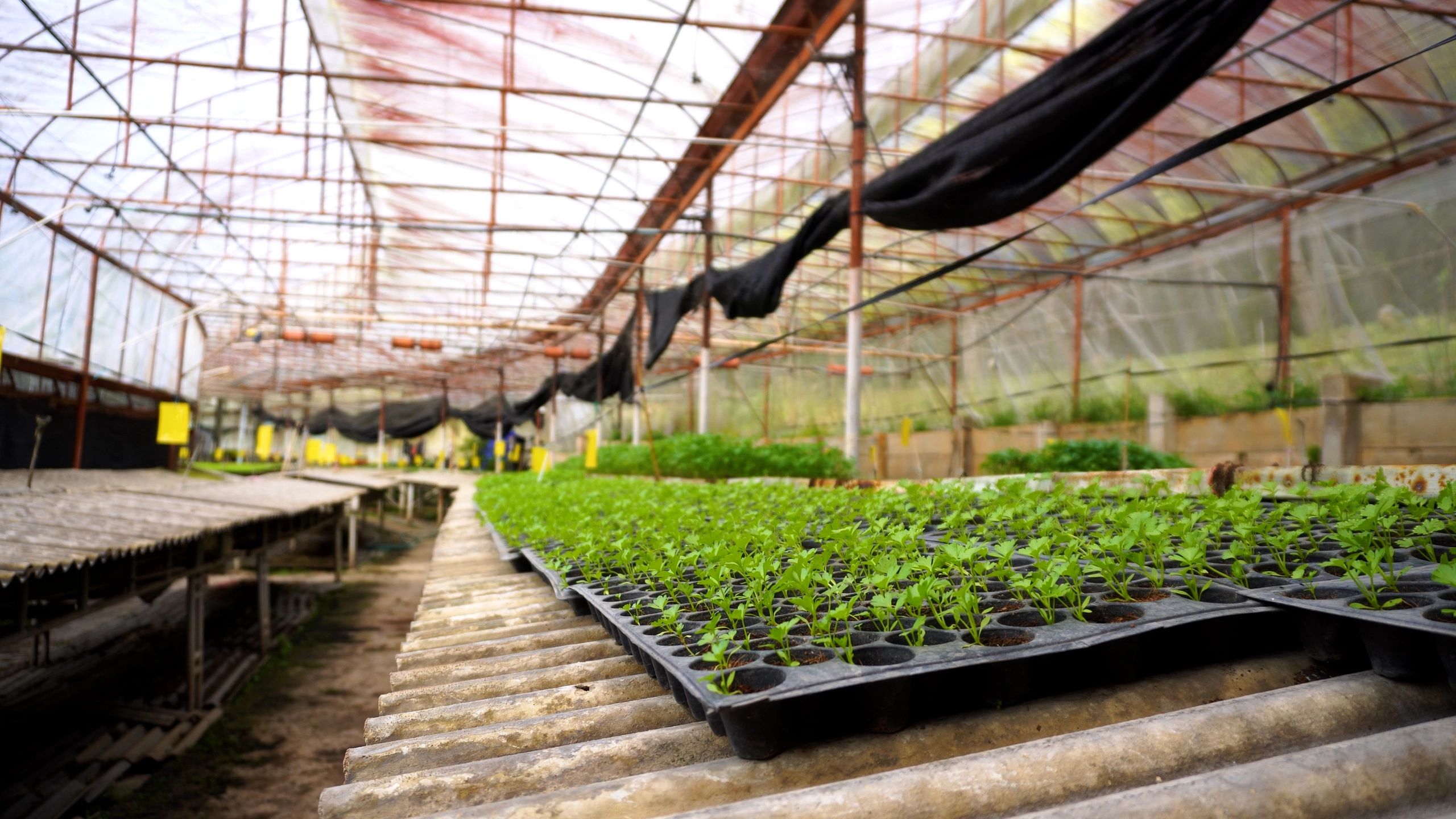 Natural farm landscape suited for family retreats