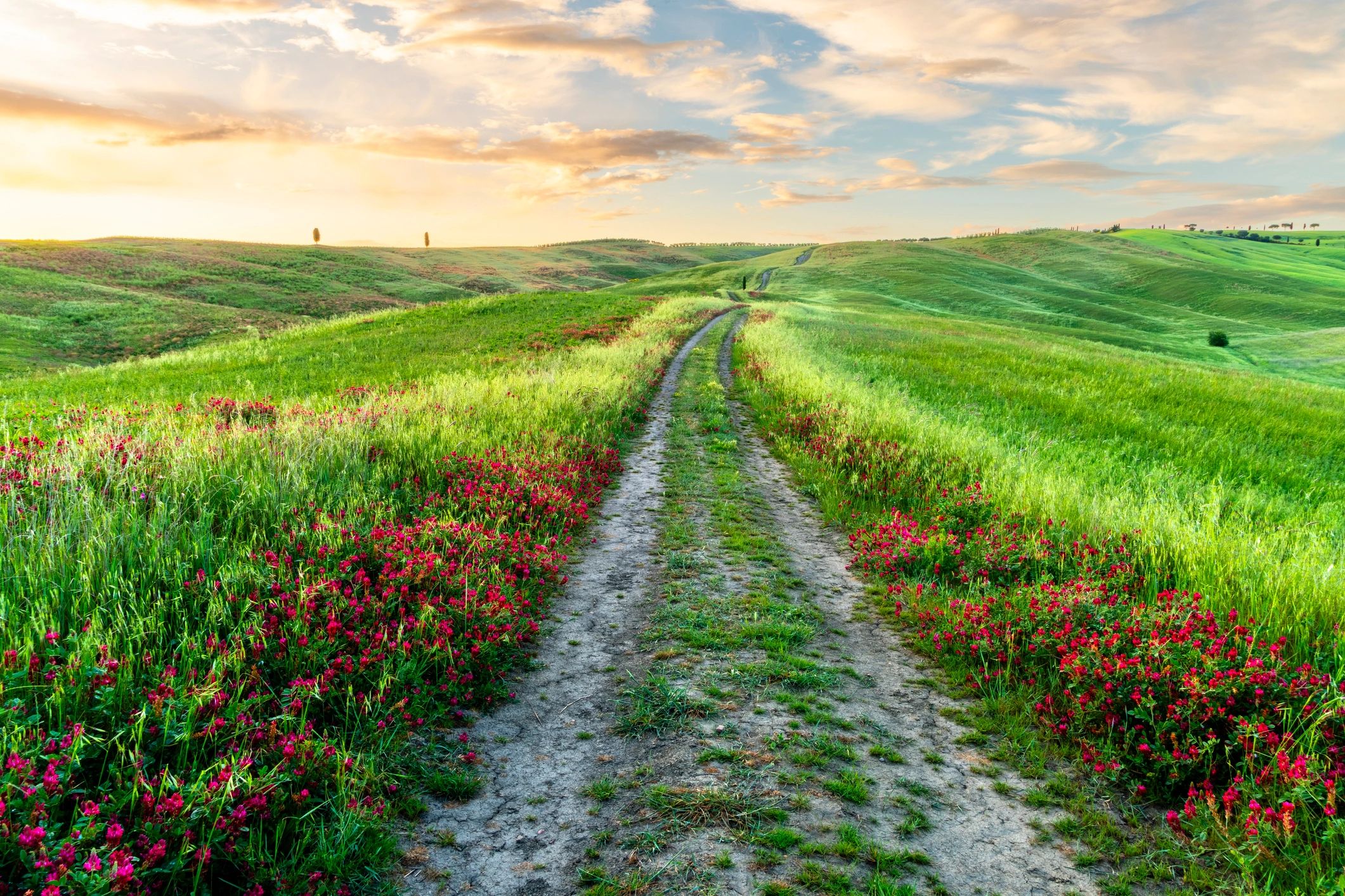 Scenic rural road through rolling countryside near a peaceful retreat